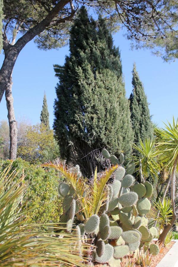 Apartamento Stellahome - La Petite Cour Sanary-sur-Mer