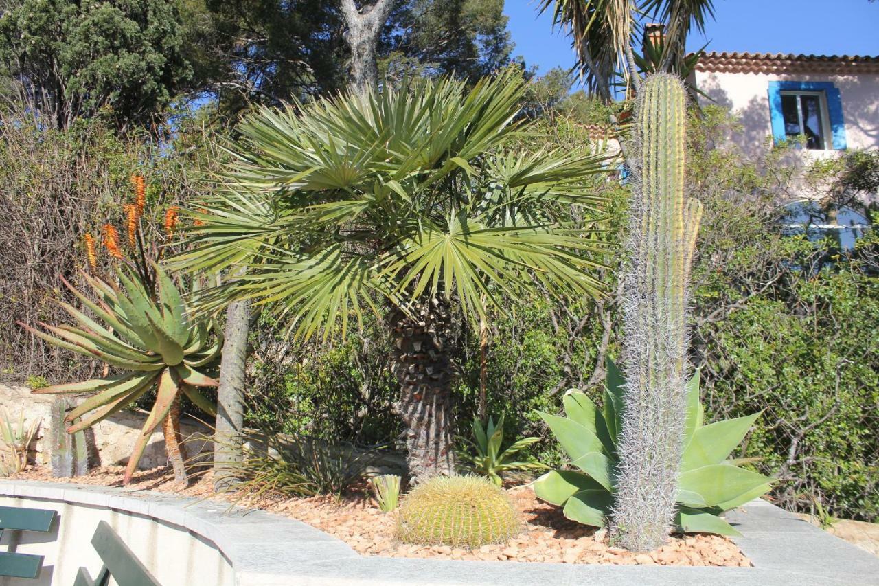 Stellahome - La Petite Cour Sanary-sur-Mer